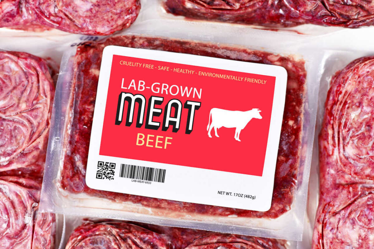 Lab,grown,cultured,meat,concept,for,artificial,in,vitro,cell