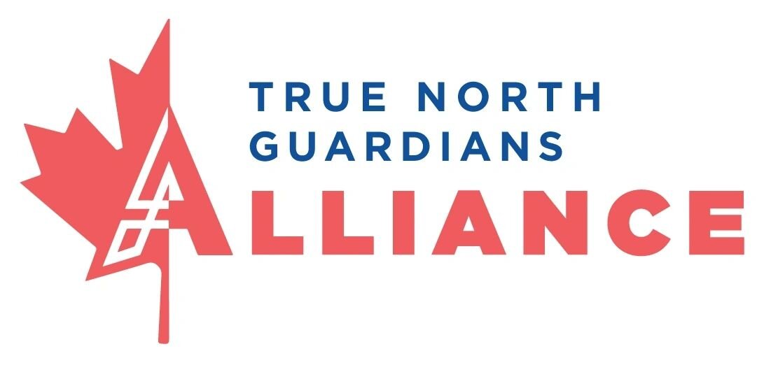 Indictment Served On The Judiciary Of Canada