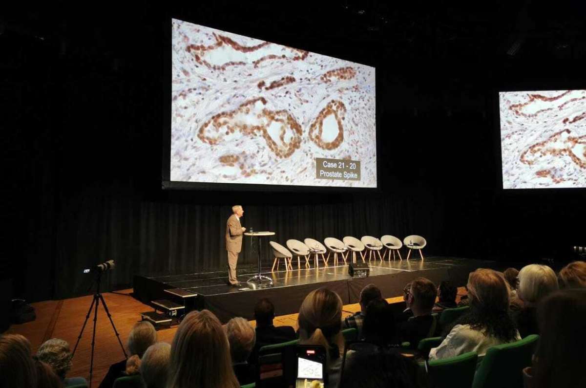 Massive Covid Conference In Stockholm