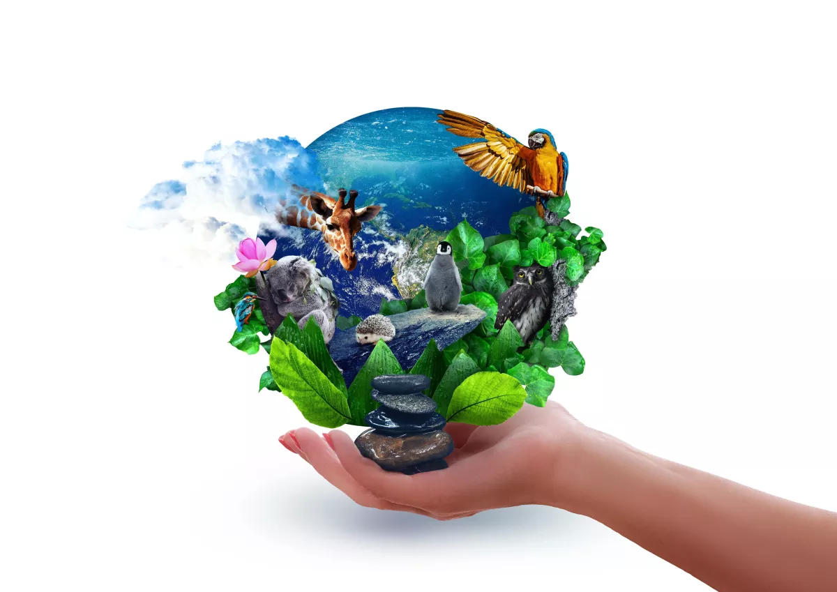 Topstudycarbonemissionscannotcauseglobalwarming