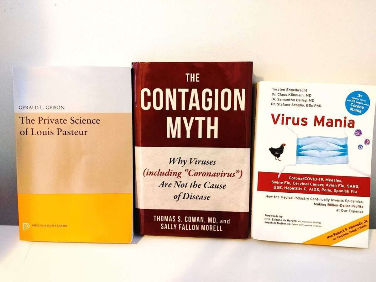 Do Viruses Actually Exist