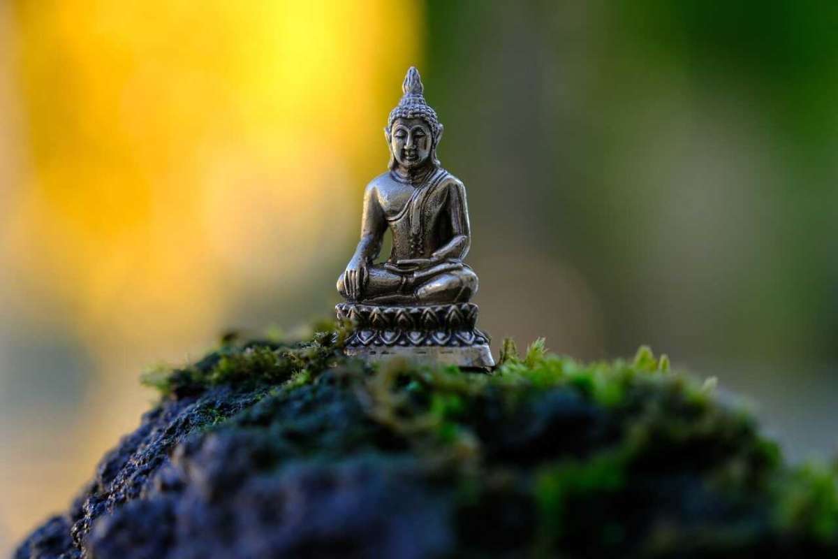 How To Have Your Own Personal Zen Master